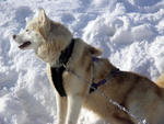 PICT0140.jpg