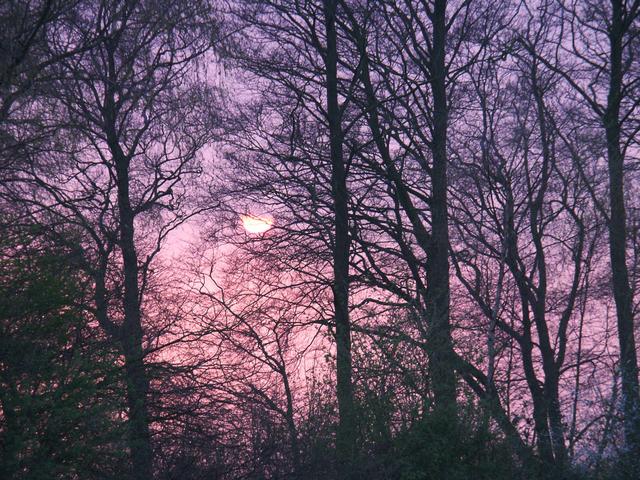 Sunset38.jpg