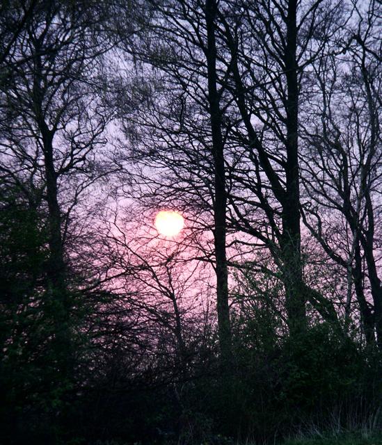 Sunset41.jpg
