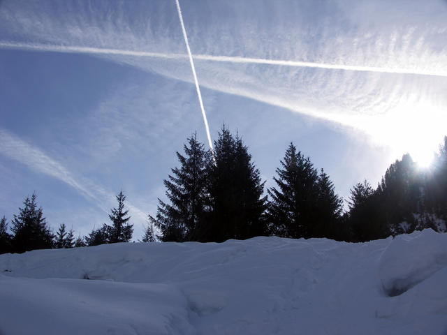 PICT0135.jpg