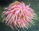 PICT0176.png