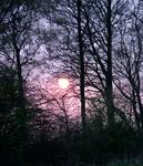 Sunset41.jpg