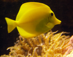 PICT0182.png
