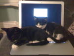 Nice warm laptop
