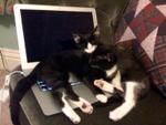 We Don't Quite Fit Any More!